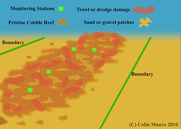 Lane's Ground Reef is a linear reef, running east-west, composed of a matrix of boulder reef patches interspersed with sand and gravel patches. marine Bio-images